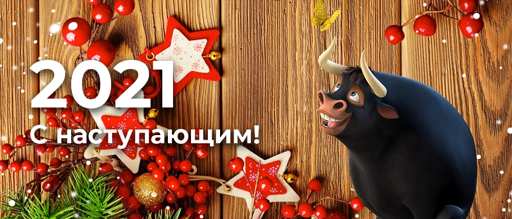 С наступающим Новым Годом! С наступающим Новым Годом!