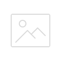 dn100 dn100